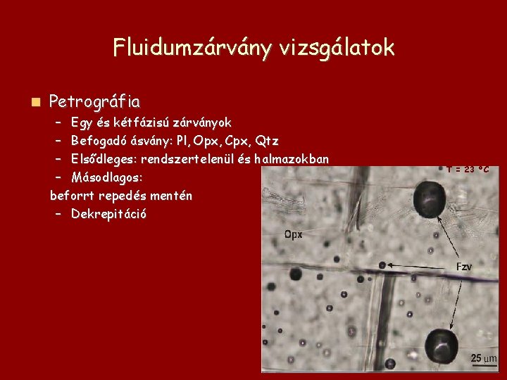 Fluidumzárvány vizsgálatok Petrográfia – Egy és kétfázisú zárványok – Befogadó ásvány: Pl, Opx, Cpx,