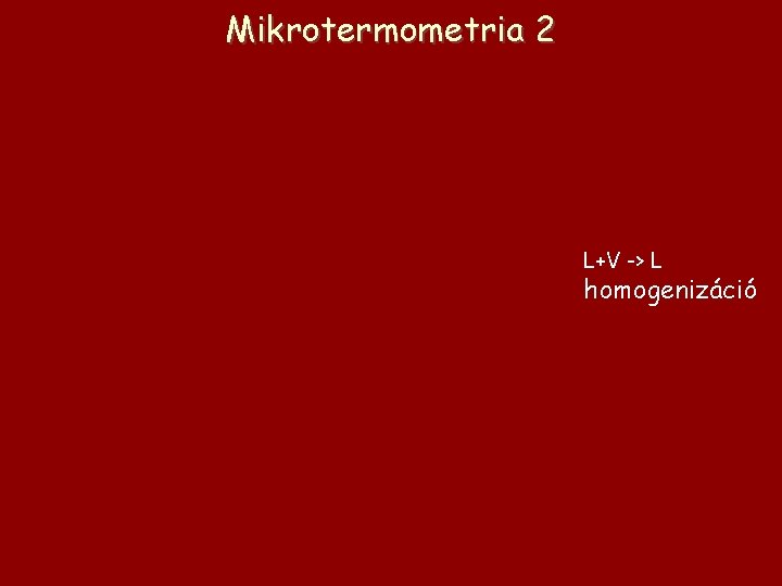 Mikrotermometria 2 L+V -> L homogenizáció 