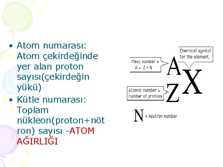  • Atom numarası: Atom çekirdeğinde yer alan proton sayısı(çekirdeğin yükü) • Kütle numarası: