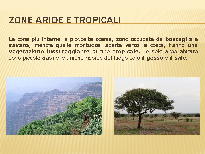 ZONE ARIDE E TROPICALI Le zone più interne, a piovosità scarsa, sono occupate da