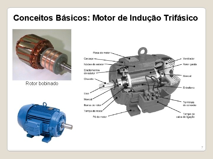 Conceitos Básicos: Motor de Indução Trifásico Rotor bobinado 7 