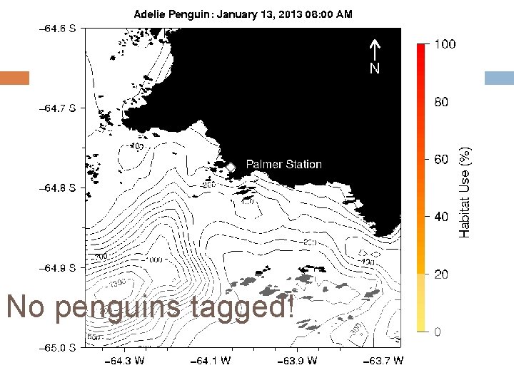 No penguins tagged! 