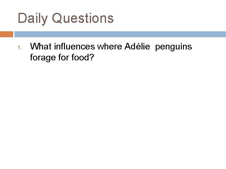 Daily Questions 1. What influences where Adélie penguins forage for food? 
