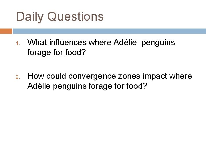 Daily Questions 1. 2. What influences where Adélie penguins forage for food? How could