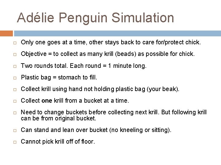 Adélie Penguin Simulation Only one goes at a time, other stays back to care