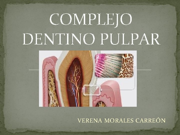 COMPLEJO DENTINO PULPAR VERENA MORALES CARREÓN COMPLEJO DENTINO PULPAR VERENA MORALES CARREÓN