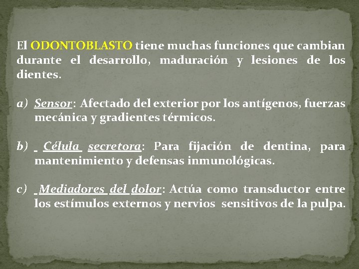 El ODONTOBLASTO tiene muchas funciones que cambian durante el desarrollo, maduración y lesiones de El ODONTOBLASTO tiene muchas funciones que cambian durante el desarrollo, maduración y lesiones de