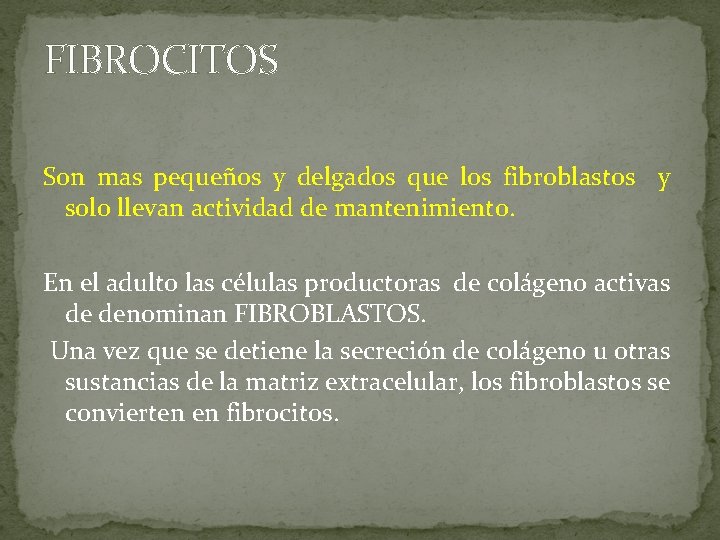 FIBROCITOS Son mas pequeños y delgados que los fibroblastos y solo llevan actividad de FIBROCITOS Son mas pequeños y delgados que los fibroblastos y solo llevan actividad de