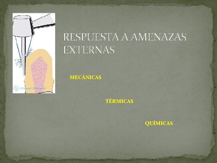 RESPUESTA A AMENAZAS EXTERNAS MECÁNICAS TÉRMICAS QUÍMICAS RESPUESTA A AMENAZAS EXTERNAS MECÁNICAS TÉRMICAS QUÍMICAS
