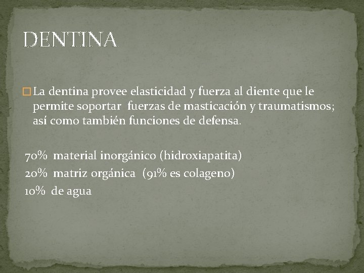 DENTINA � La dentina provee elasticidad y fuerza al diente que le permite soportar DENTINA � La dentina provee elasticidad y fuerza al diente que le permite soportar