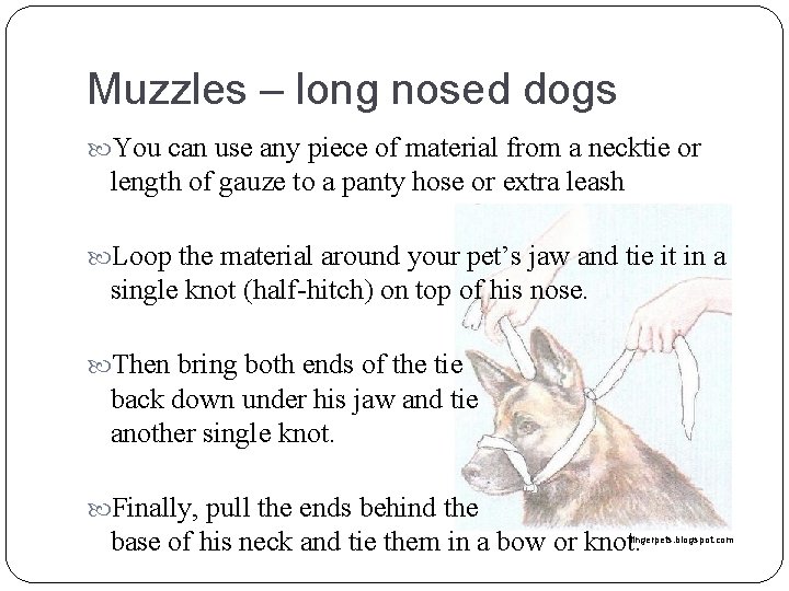 Muzzles – long nosed dogs You can use any piece of material from a