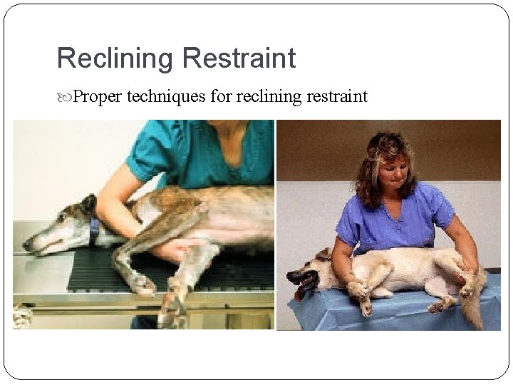 Reclining Restraint Proper techniques for reclining restraint Reclining Restraint Proper techniques for reclining restraint