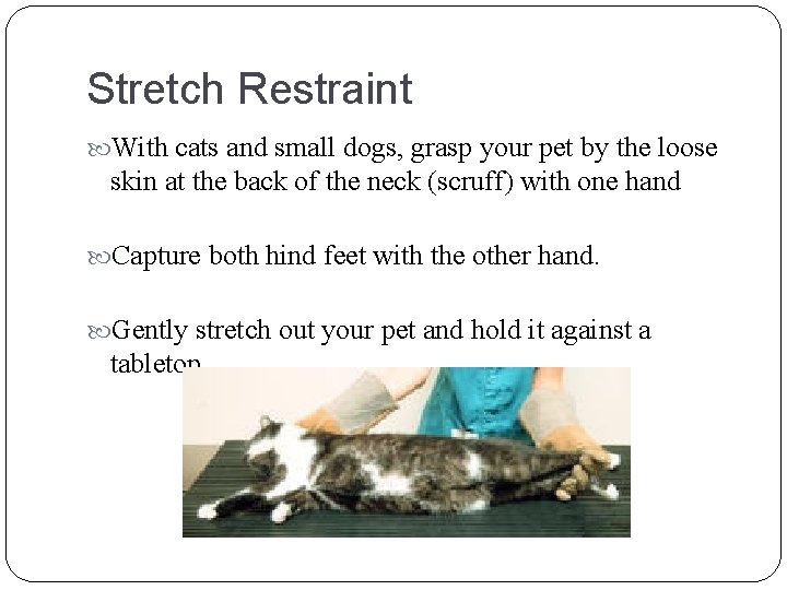 Stretch Restraint With cats and small dogs, grasp your pet by the loose skin