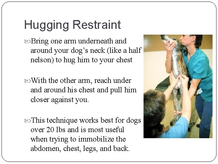 Hugging Restraint Bring one arm underneath and around your dog’s neck (like a half