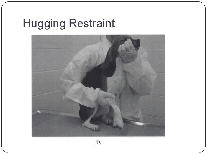 Hugging Restraint 