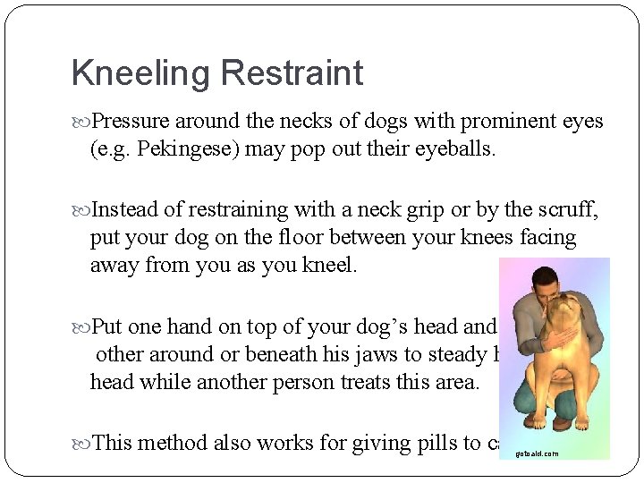 Kneeling Restraint Pressure around the necks of dogs with prominent eyes (e. g. Pekingese)