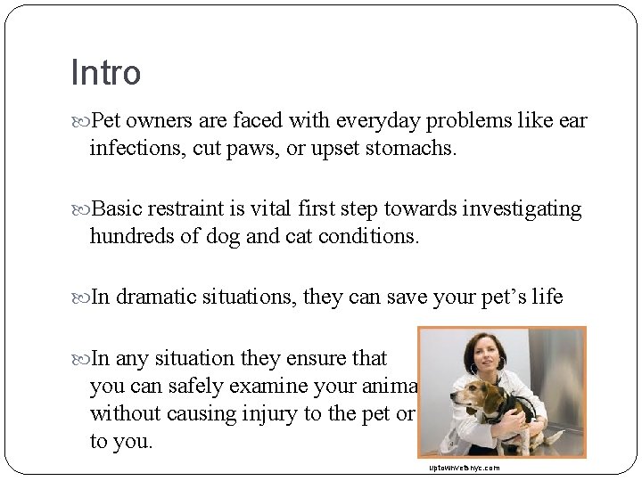 Intro Pet owners are faced with everyday problems like ear infections, cut paws, or Intro Pet owners are faced with everyday problems like ear infections, cut paws, or