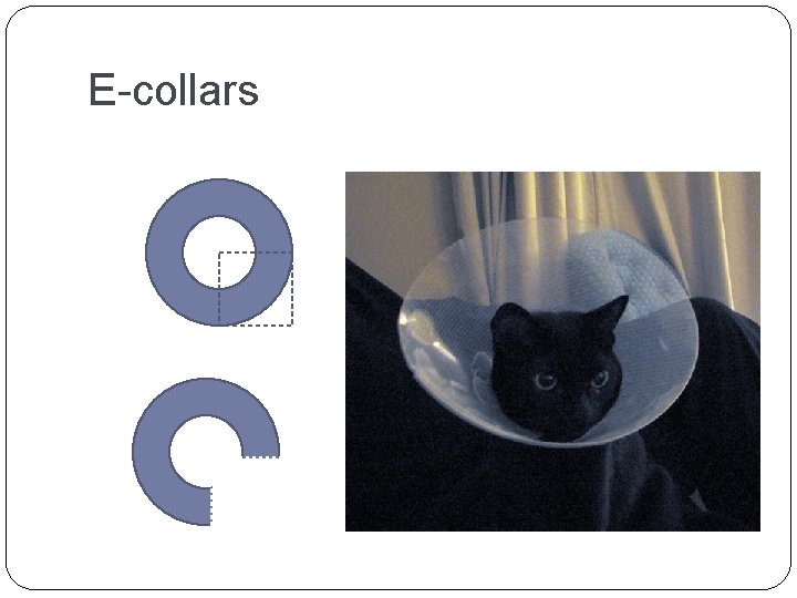 E-collars 