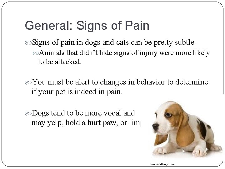 General: Signs of Pain Signs of pain in dogs and cats can be pretty General: Signs of Pain Signs of pain in dogs and cats can be pretty
