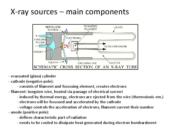 X-ray sources – main components - evacuated (glass) cylinder - cathode (negative pole): -