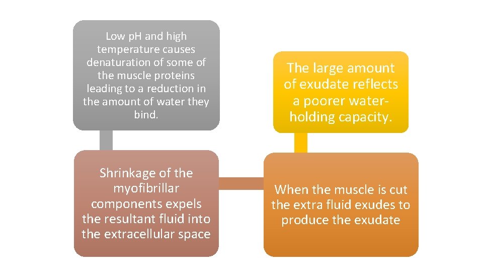 Low p. H and high temperature causes denaturation of some of the muscle proteins