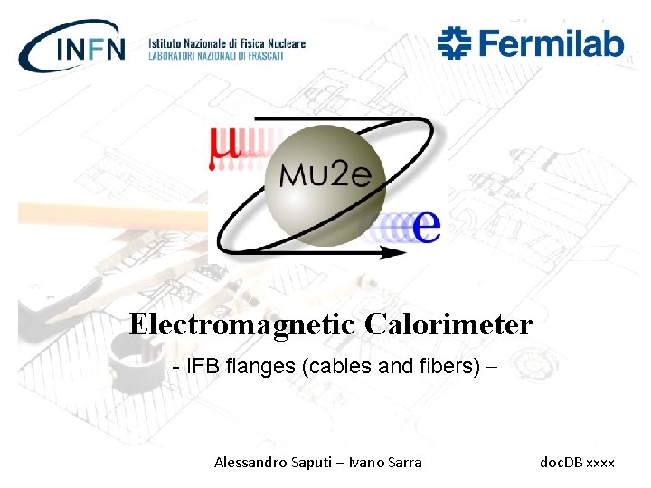 Electromagnetic Calorimeter - IFB flanges (cables and fibers) – Alessandro Saputi – Ivano Sarra