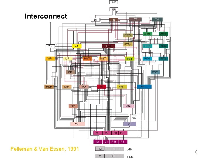 Interconnect Felleman & Van Essen, 1991 8 
