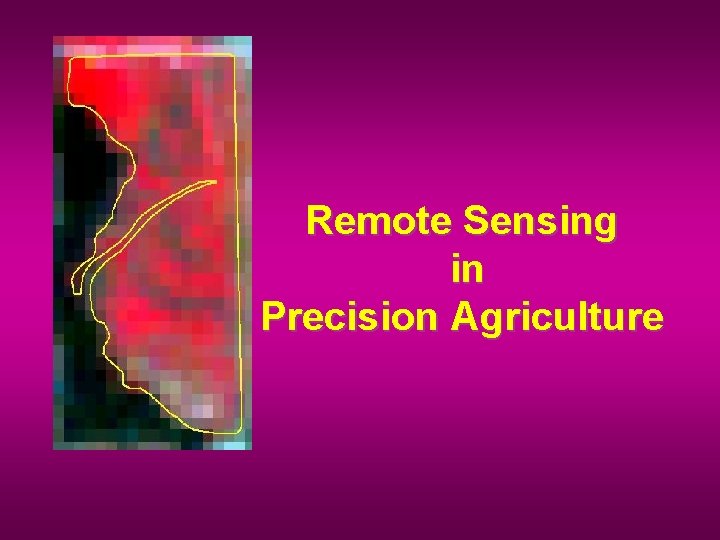 Remote Sensing in Precision Agriculture 