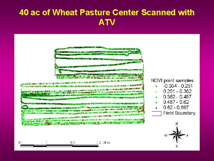 40 ac of Wheat Pasture Center Scanned with ATV 