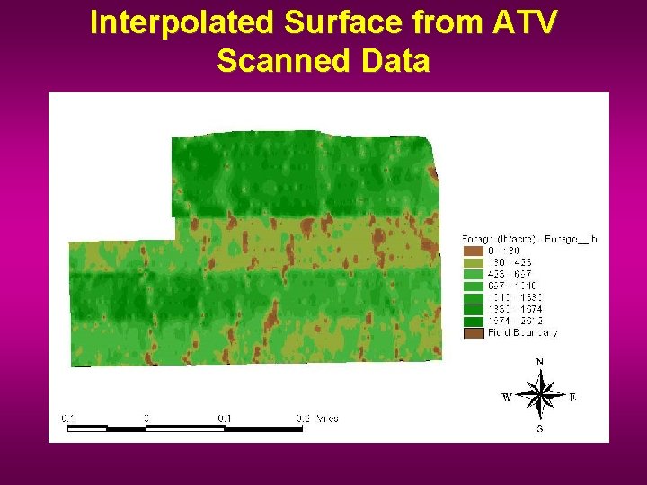 Interpolated Surface from ATV Scanned Data 