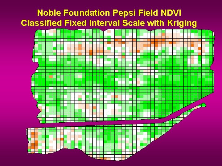 Noble Foundation Pepsi Field NDVI Classified Fixed Interval Scale with Kriging 