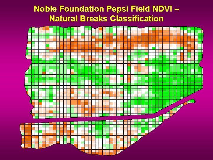 Noble Foundation Pepsi Field NDVI – Natural Breaks Classification 