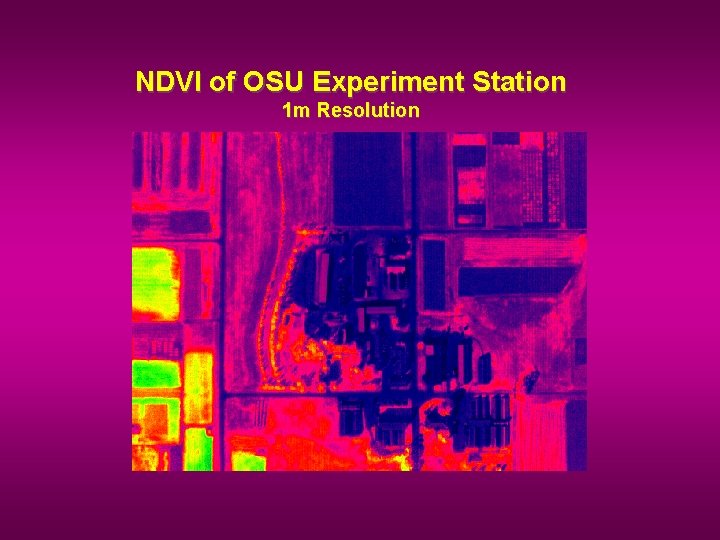 NDVI of OSU Experiment Station 1 m Resolution 