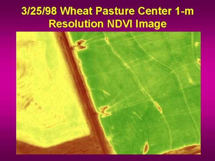 3/25/98 Wheat Pasture Center 1 -m Resolution NDVI Image 
