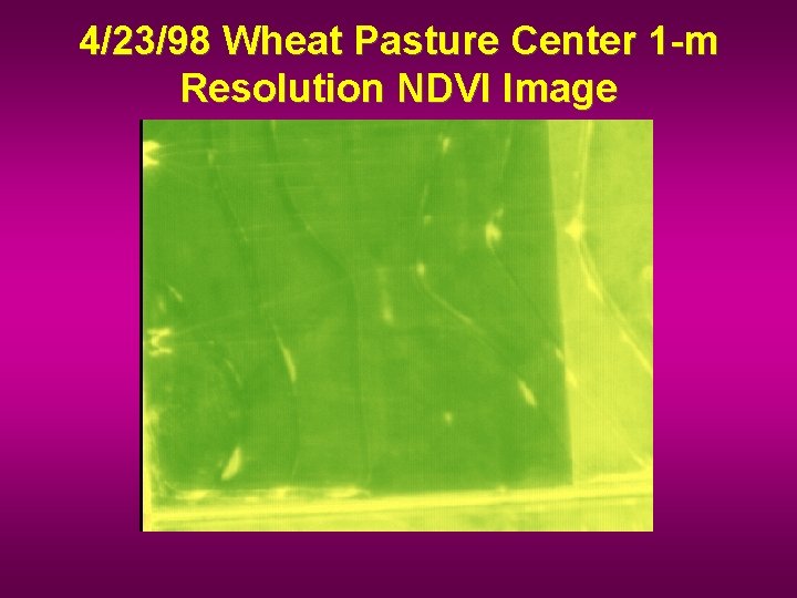 4/23/98 Wheat Pasture Center 1 -m Resolution NDVI Image 