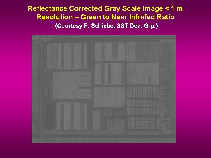 Reflectance Corrected Gray Scale Image < 1 m Resolution – Green to Near Infrafed