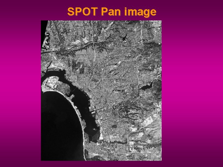 SPOT Pan image 