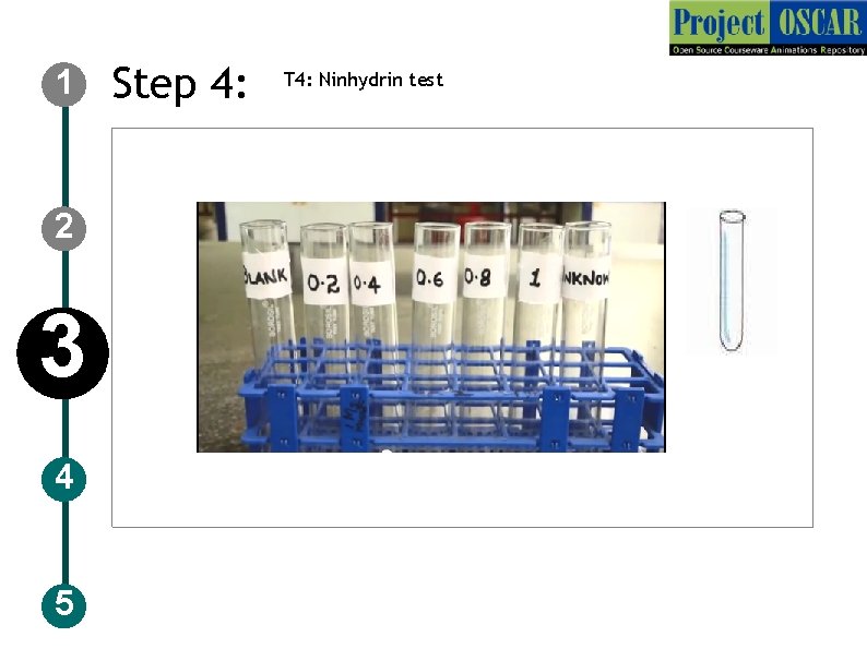 1 2 3 4 5 Step 4: T 4: Ninhydrin test 