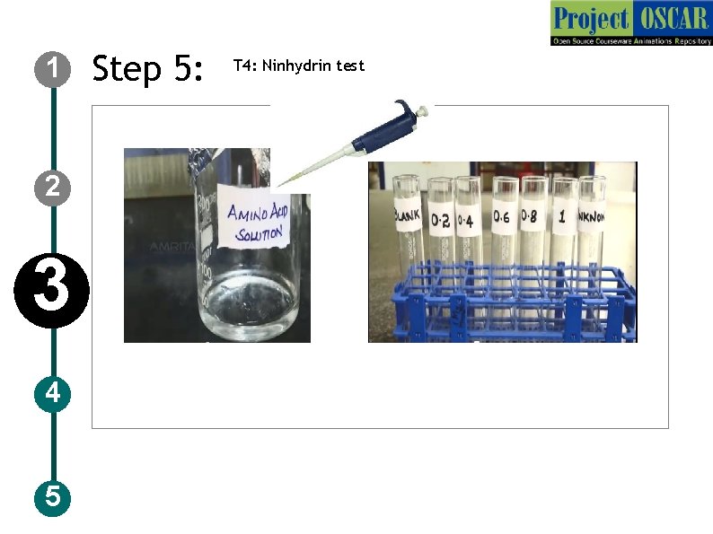 1 2 3 4 5 Step 5: T 4: Ninhydrin test 