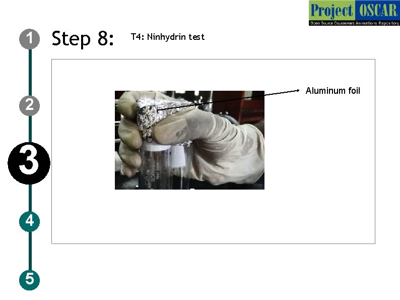 1 2 3 4 5 Step 8: T 4: Ninhydrin test Aluminum foil 