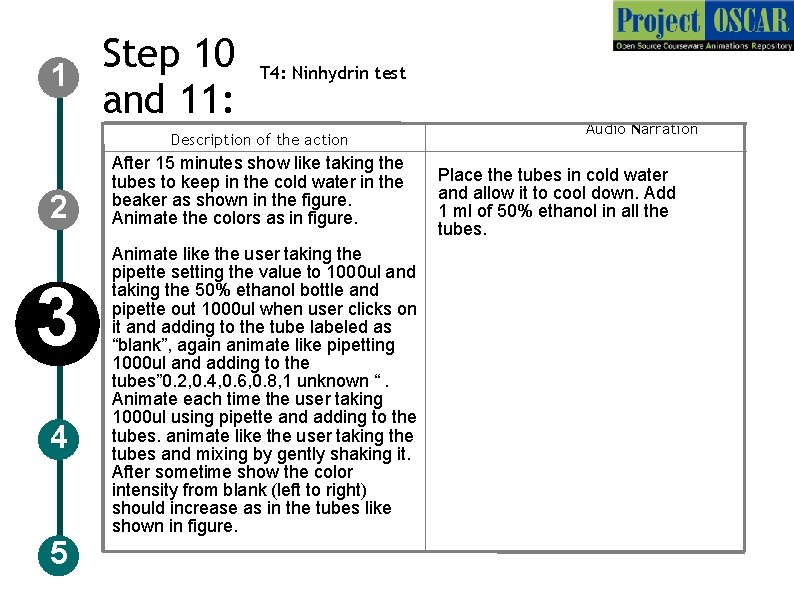 1 Step 10 and 11: T 4: Ninhydrin test Description of the action 2