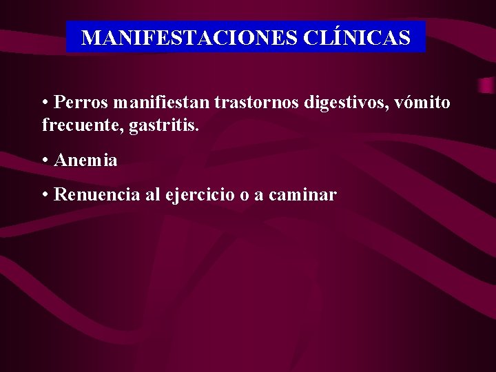 MANIFESTACIONES CLÍNICAS • Perros manifiestan trastornos digestivos, vómito frecuente, gastritis. • Anemia • Renuencia