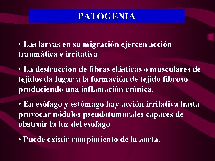 PATOGENIA • Las larvas en su migración ejercen acción traumática e irritativa. • La