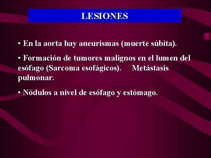 LESIONES • En la aorta hay aneurismas (muerte súbita). • Formación de tumores malignos