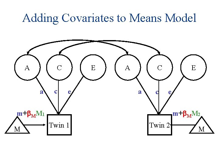 Adding Covariates to Means Model A C a c E e m+ MM 1