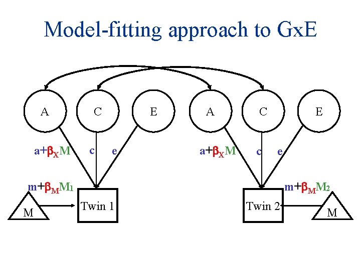 Model-fitting approach to Gx. E A a+ XM C c E e m+ MM