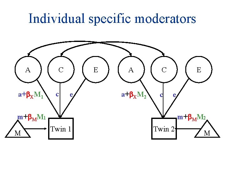 Individual specific moderators A a+ XM 1 C c E e A a+ XM