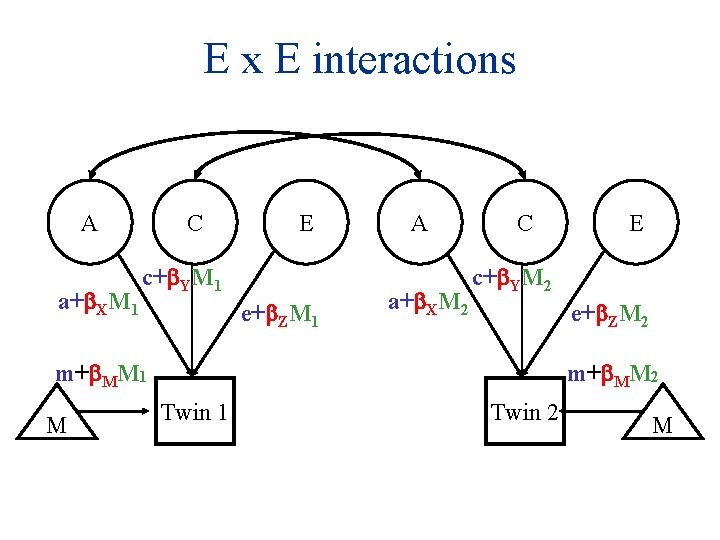 E x E interactions A a+ XM 1 C E c+ YM 1 e+