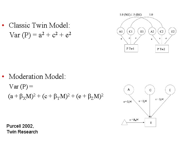  • Classic Twin Model: Var (P) = a 2 + c 2 +