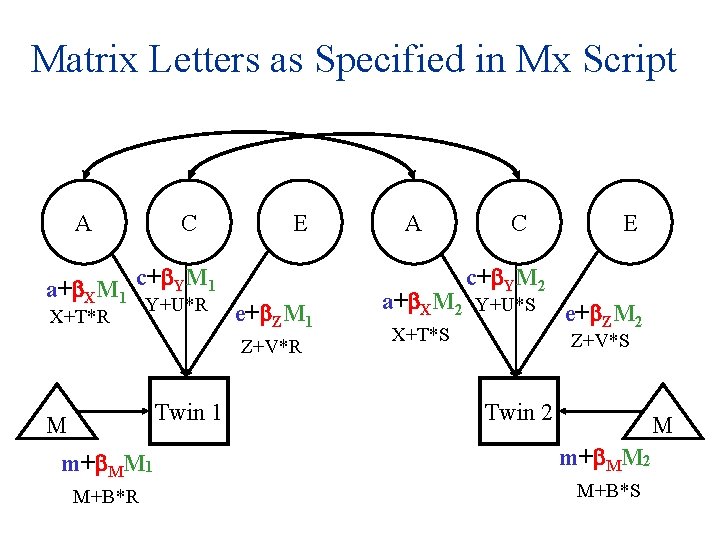 Matrix Letters as Specified in Mx Script A C a+ XM 1 c+ YM